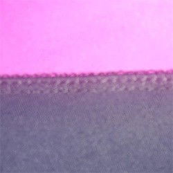 Negro con Fucsia Negro con Fucsia